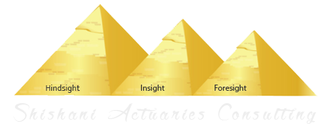 Shishani Actuaries Consulting